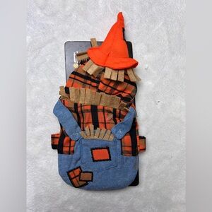 Thrills & Chills Bearded Dragon Reptile Scarecrow Costume